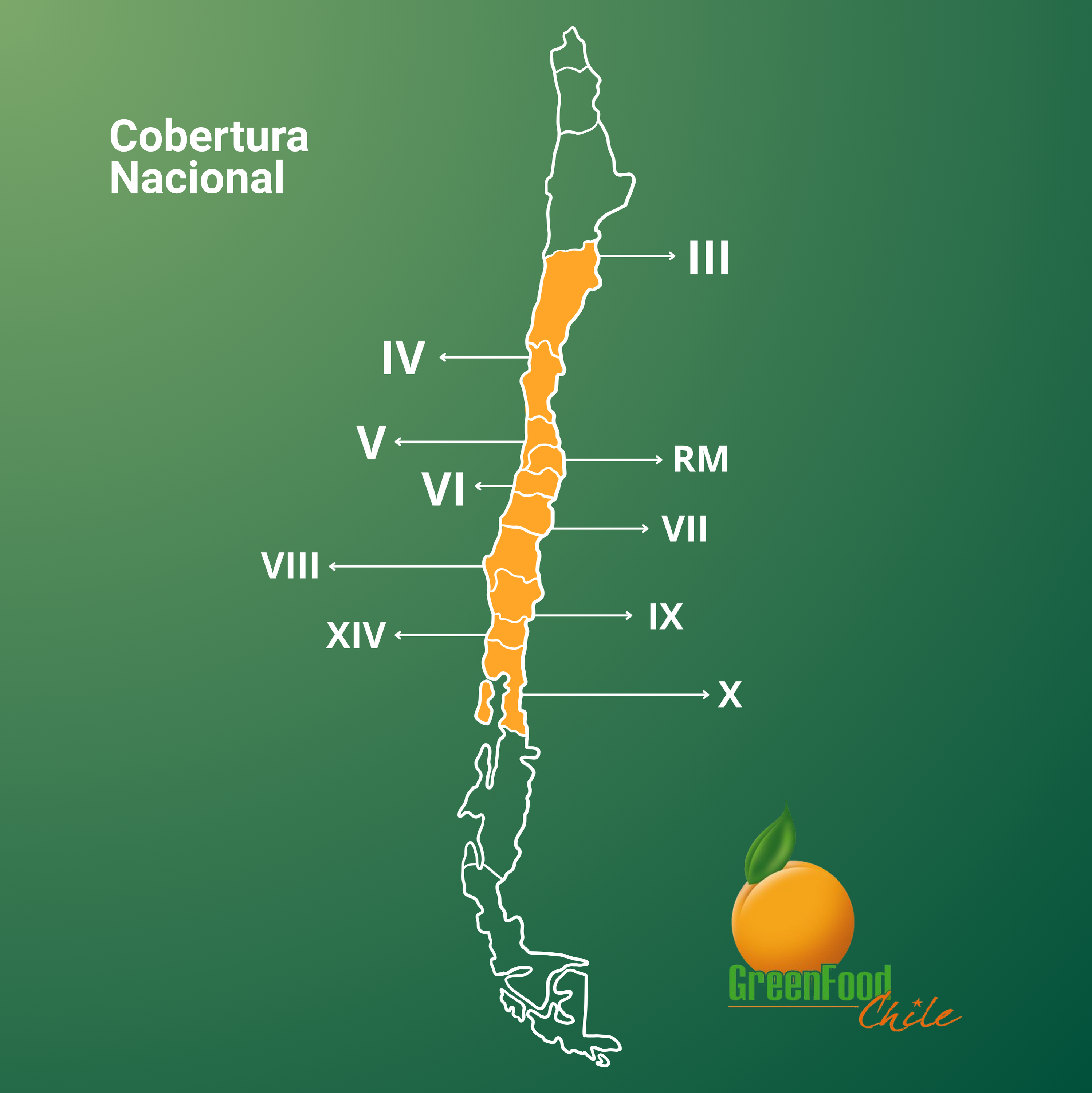 Mapa de Chile y crecimiento de la empresa