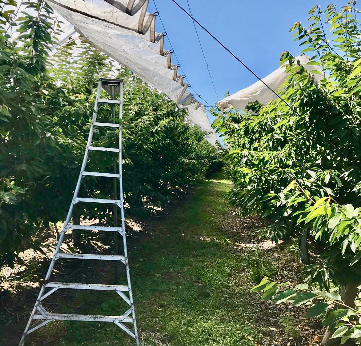 Proceso de embalaje certificado